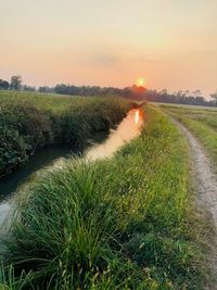 Scenic view of grassy field against sky during sunset