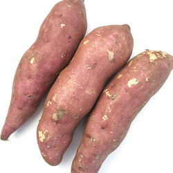 Close-up of food on white background