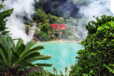 Scenic view of waterfall in forest