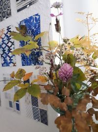 Close-up of flowering plant in vase on table