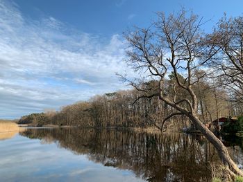 Reflection of bare trees in lake against sky