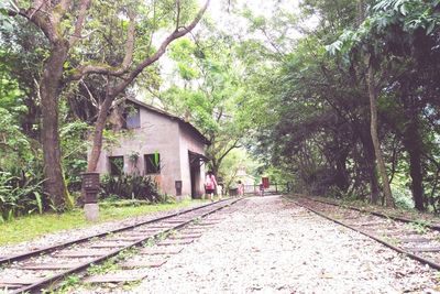 Narrow walkway along trees