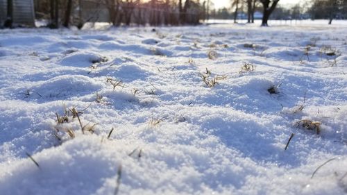 Close-up of snow on field