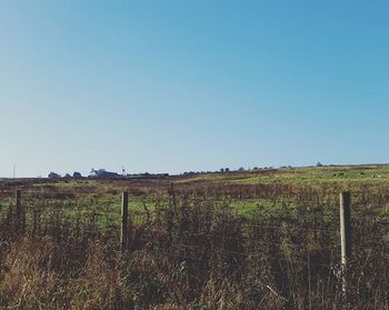 Scenic view of field against clear blue sky