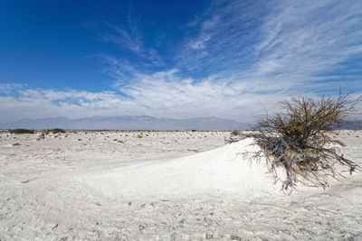 Scenic view of desert against sky