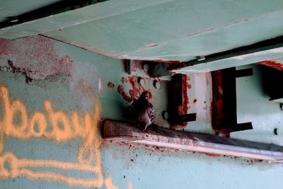 Close-up of abandoned building