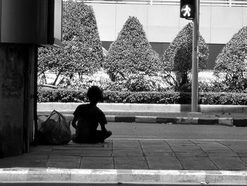 Rear view of people sitting by window