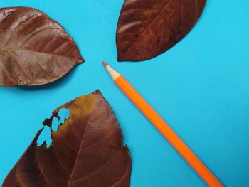 High angle view of dry leaves on table