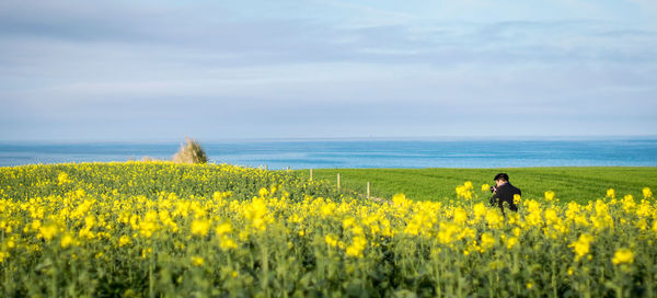 Man by yellow flowering plants against sky