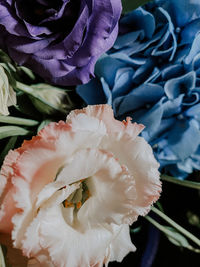 Close-up of rose bouquet
