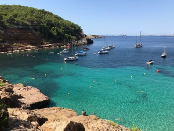 Boats moored at harbor