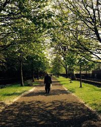 Rear view of people walking on pathway in park