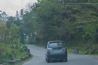 Car on road amidst trees in forest