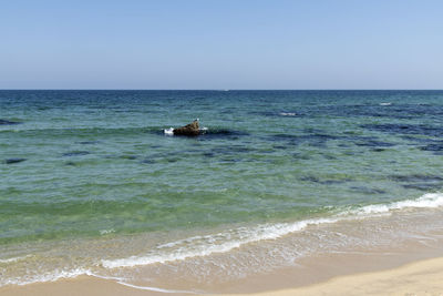 sea