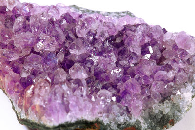 Close-up of purple petals on rock against white background