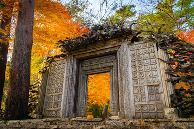 Entrance of building in forest during autumn