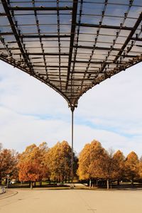 Scenic view of autumn trees against sky