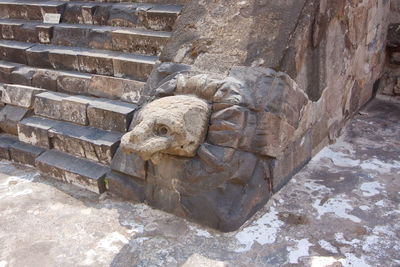 Close-up of animal on rock at zoo