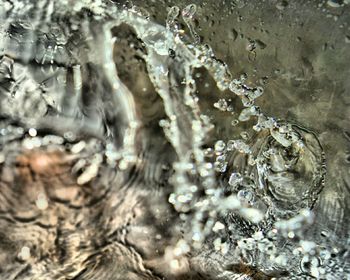 Close-up of water drops on leaf