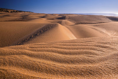 Beautiful sand dunes and dramatic sky at beach during sunset