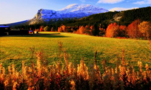 Scenic view of field against cloudy sky