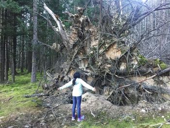 Rear view of woman standing by tree in forest