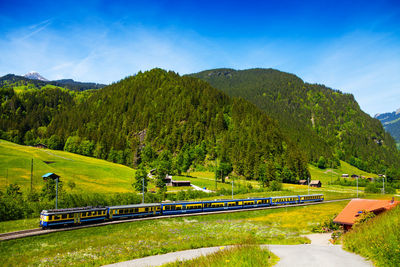 Scenic view of green landscape against sky