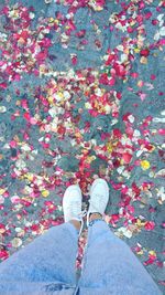 Low section of person standing on flower