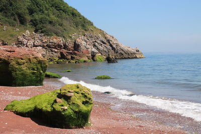 Scenic view of sea against clear sky