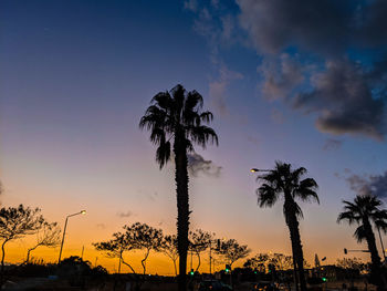 Silhouette palm trees against sky during sunset