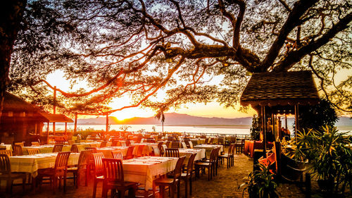 Reflection of trees in water at sunset