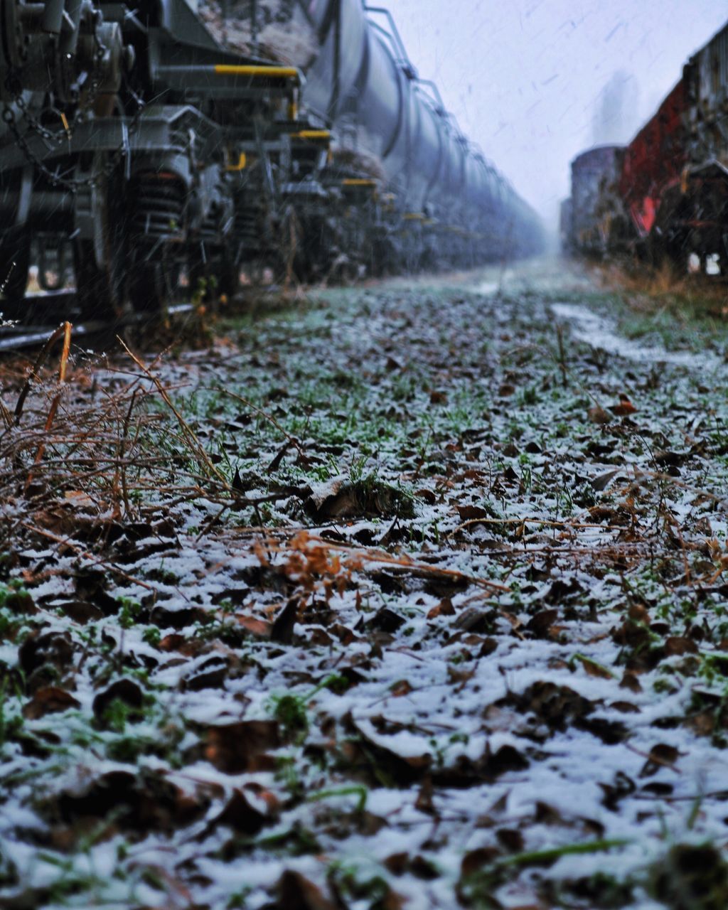 transportation, the way forward, season, winter, surface level, cold temperature, snow, diminishing perspective, railroad track, weather, road, covering, vanishing point, street, selective focus, nature, day, mode of transport, field, outdoors