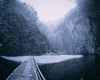 Snow covered road amidst trees during winter