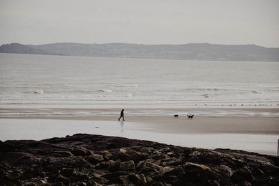 Scenic view of beach