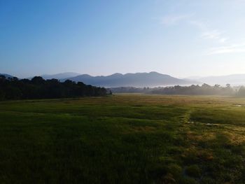 Scenic view of field against sky