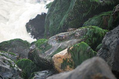 Close-up of rocks in river