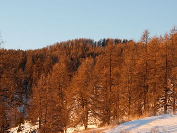 Scenic view of snow covered land against clear sky