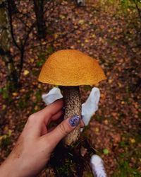 Cropped hand of woman holding mushroom in forest