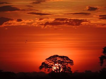 Atardecer en venezuela 