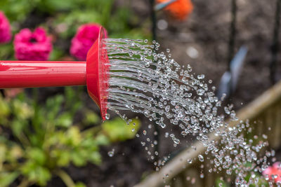 Close-up of water splashing on plant