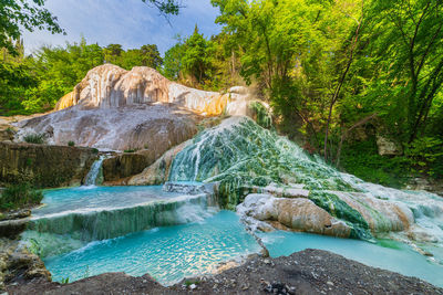 Scenic view of waterfall in forest