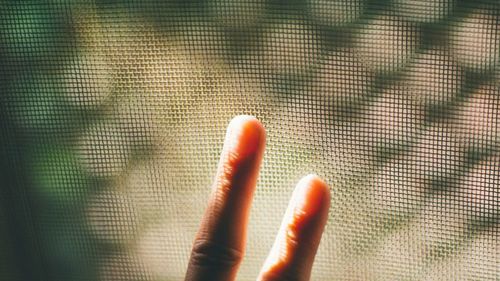 Close-up of cropped hand