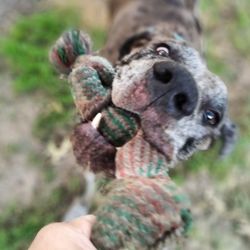 Close-up of human hand