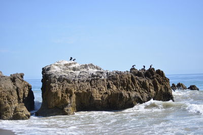 View of birds on rocks at beach against sky