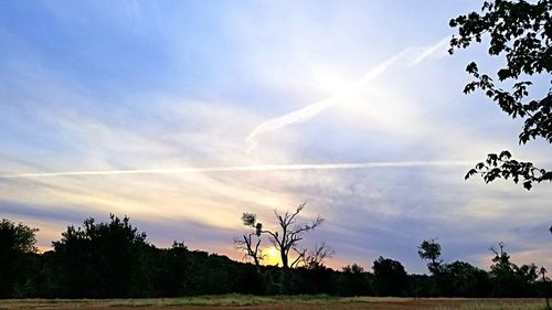 Low angle view of silhouette trees against sky