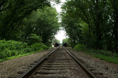 Railroad track amidst trees in forest