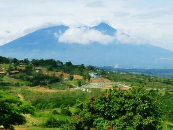 Scenic view of agricultural field against sky