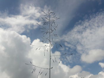 Low angle view of airplane flying in sky