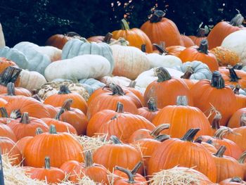 Pumpkins for sale at market stall