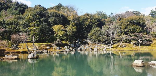 Scenic view of lake by trees against sky